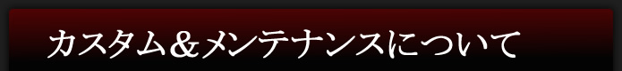 サブタイトル・カスタム&メンテナンスについて